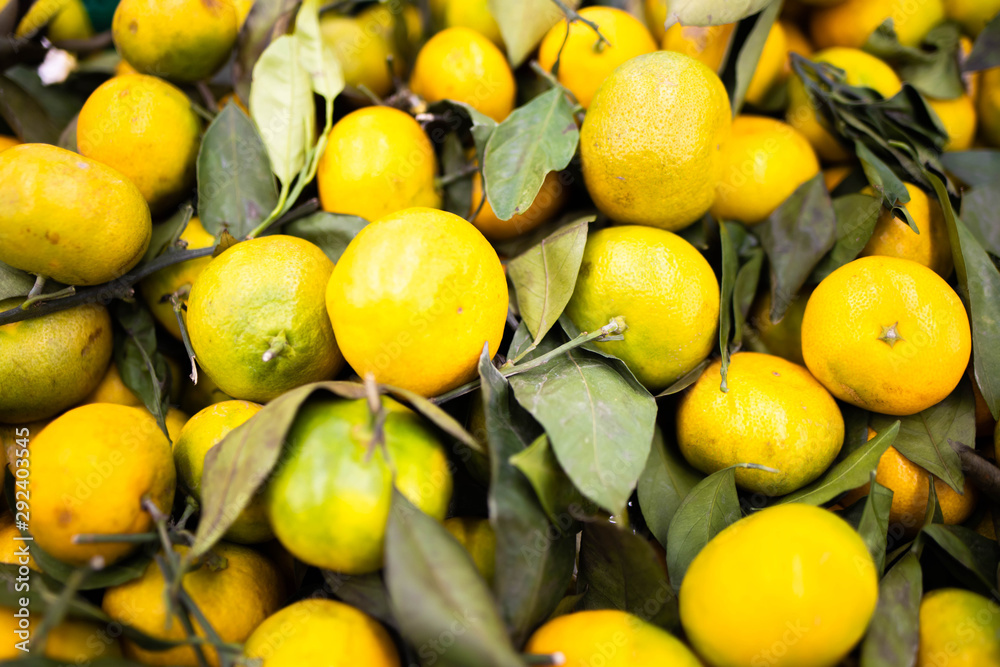 Lemons with sprigs and leaves. Background of lemons