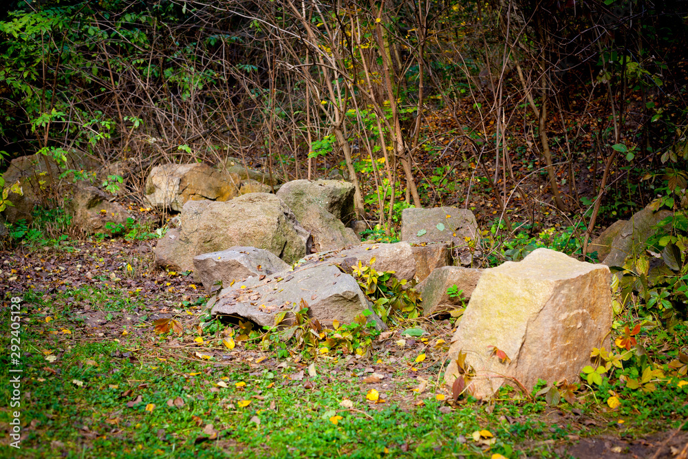 Stones lie on the ground in the autumn forest