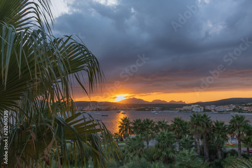 Panoramic sunset view against mountains and sky with thick clouds. Palm trees in the foreground