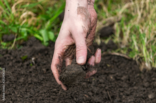 potting soil in hand