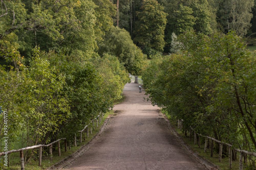 Fototapeta premium Long road in the park leading to the forest