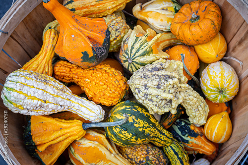 Tableau sur toile Looking down at a basket of colourful gourds for sale on a farmers market stall