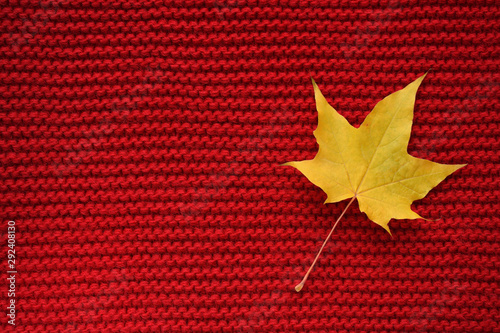 Maple yellow dry leaf on red color wool knitted background. Top view. Copy space	