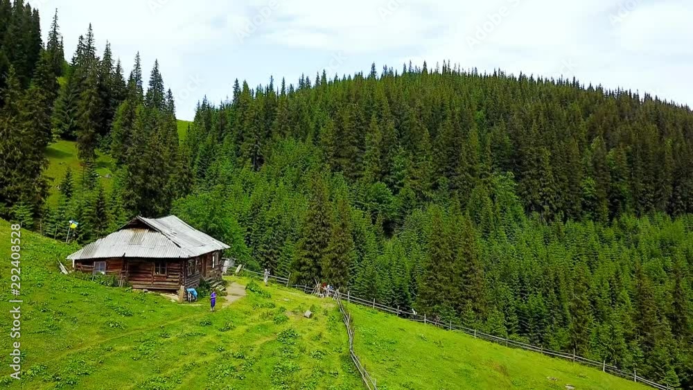 Aerial view of cheese creamery in the mountains, lonely house in the pasture in the mountains, Drone aerial flight over green meadow with grazing cows in Carpathians Aerial view of cheese creamery in the mountains, lonely house in the pasture in the mountains, Drone aerial flight over green meadow with grazing cows in Carpathians