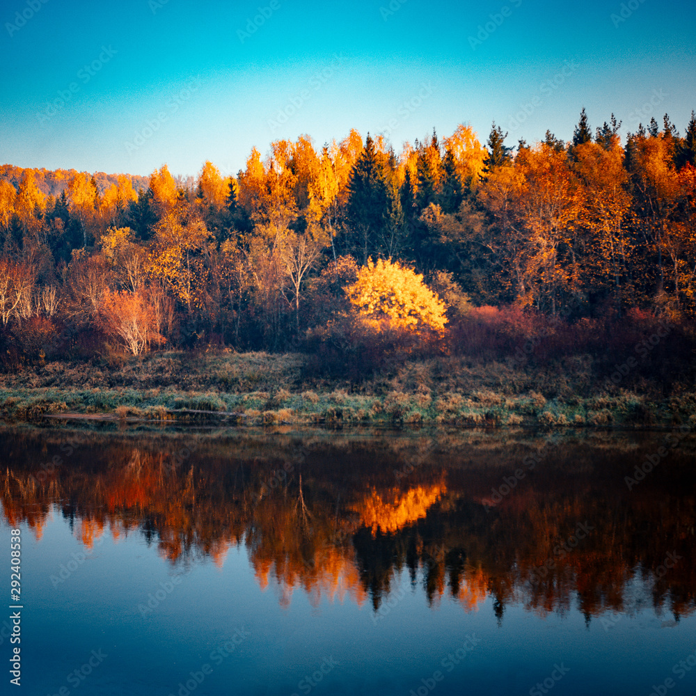 Obraz premium Riverside in autumn colors , Vivid morning in colorful forest with sun on trees. Scenery of nature with sunlight, autumn forest.