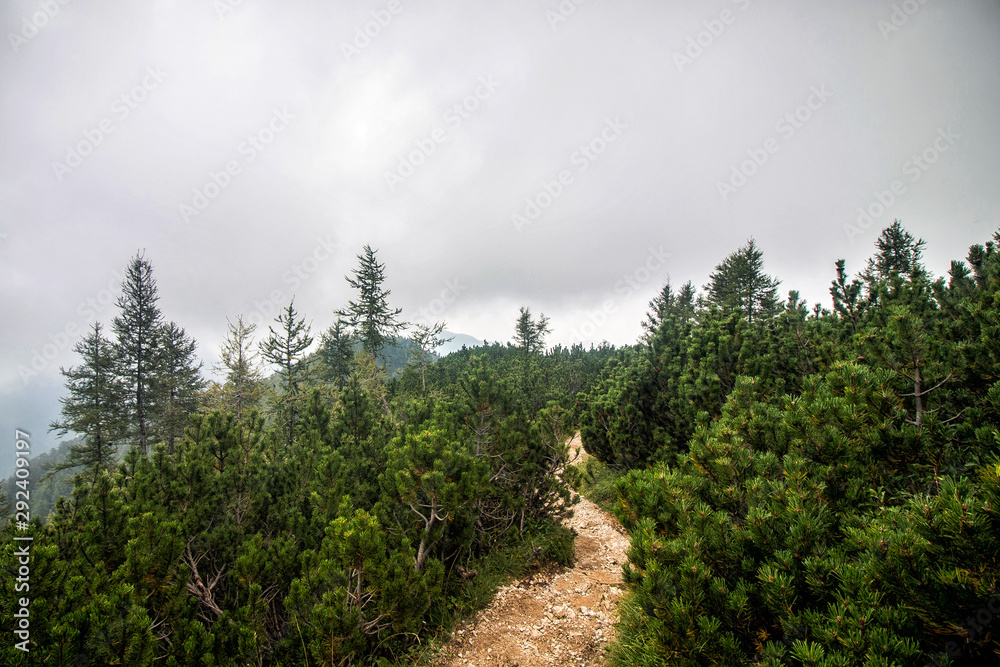 Path to Visevnik peak in Triglav National Park near Pokljuka, Slovenia