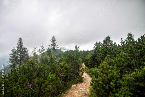 Obraz na płótnie Path to Visevnik peak in Triglav National Park near Pokljuka, Slovenia w salonie