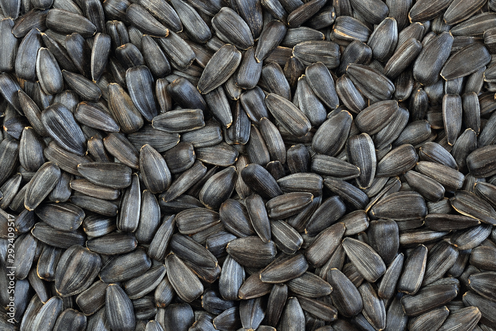 Roasted sunflower seeds texture. Snack food background. Top view. Closeup Roasted sunflower seeds texture. Snack food background. Top view. Closeup