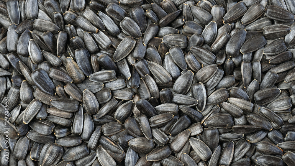 Roasted sunflower seeds texture background. Top view Roasted sunflower seeds texture background. Top view