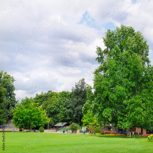 Summer park with beautiful flowers and lawn.