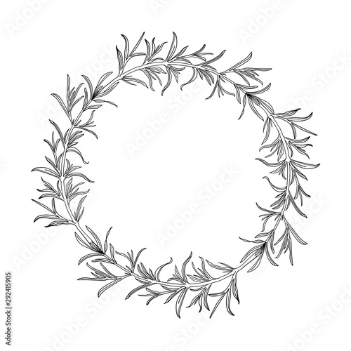 Sketch wreath with rosemary. Doodle frame. Hand drawn botanical border