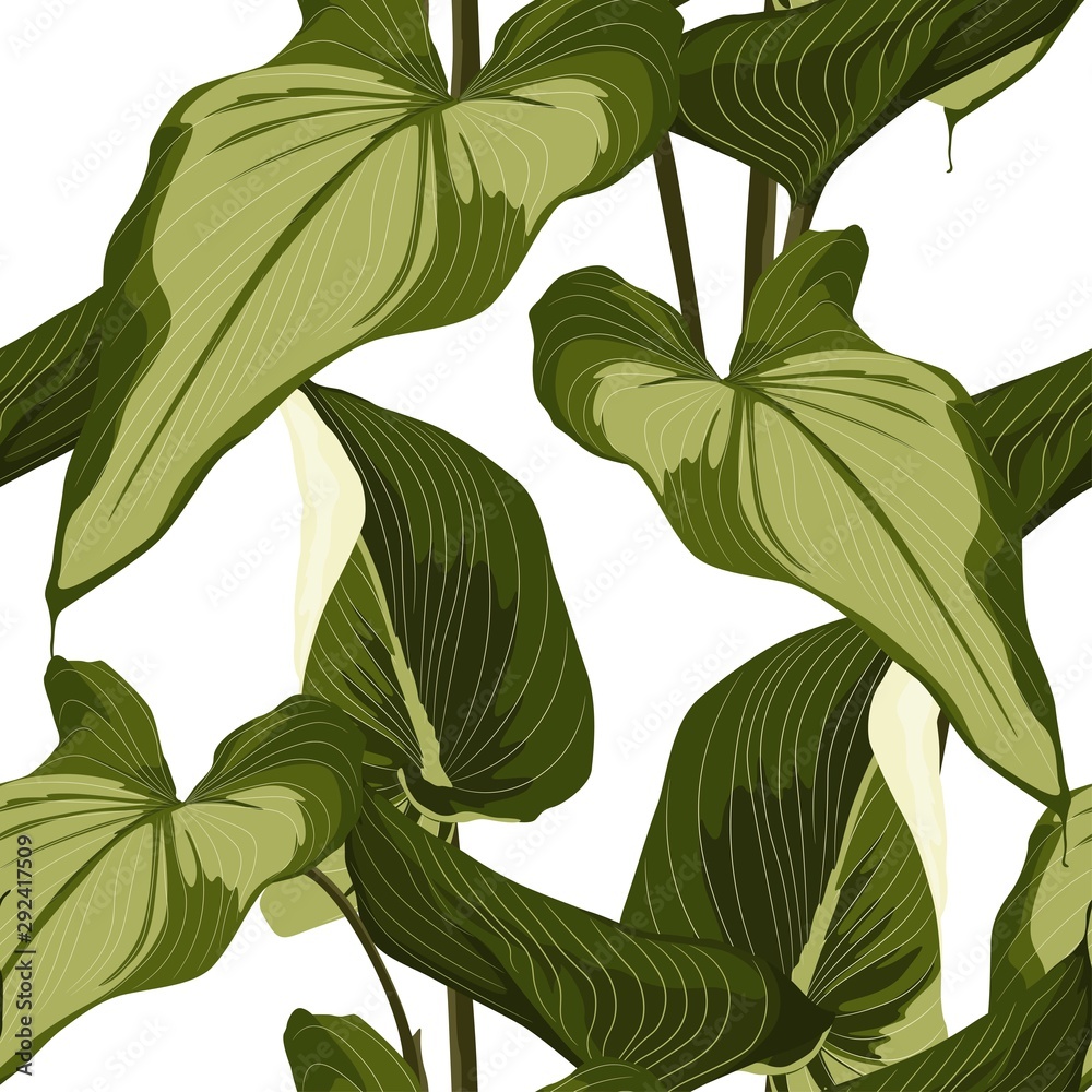 Tropical Spathiphyllum palm leaves, jungle leaves. Beautiful seamless floral jungle pattern on white background. - obrazy, fototapety, plakaty 