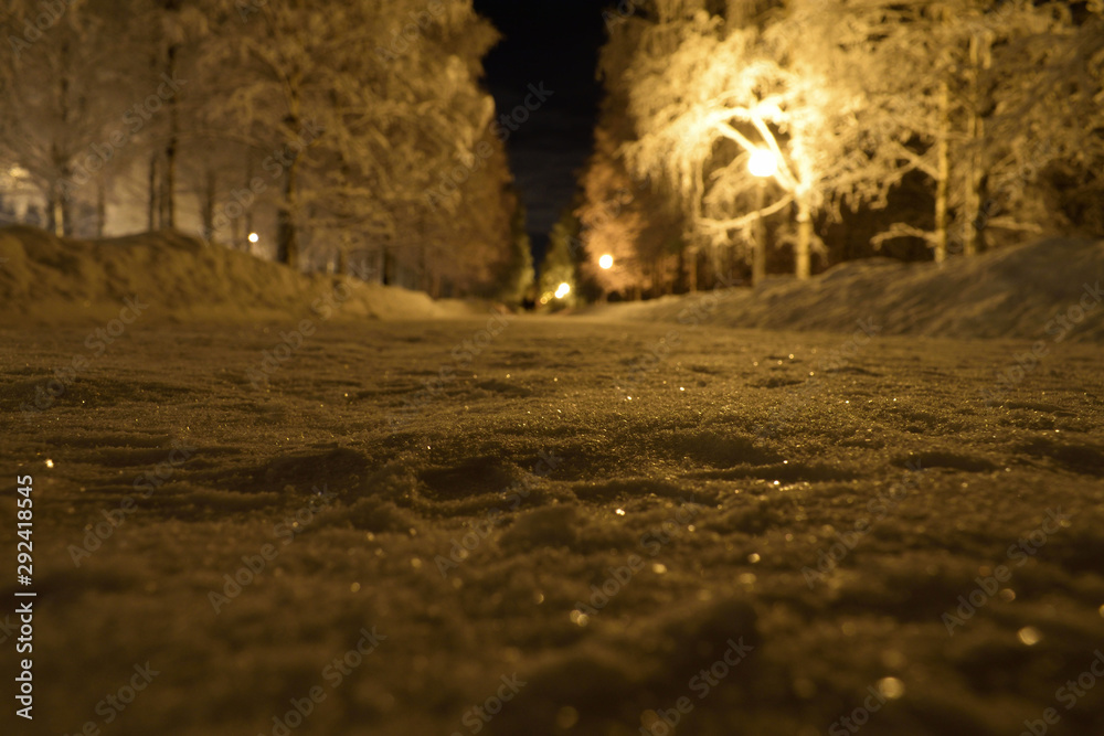 Night winter park. Snowy park lighted by some street lamps. Low angle shot from the pathway. Focus on the middle ground