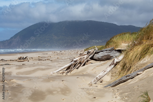 Oregon Coast, West Coast Beaches, Pacific Northwest Beach