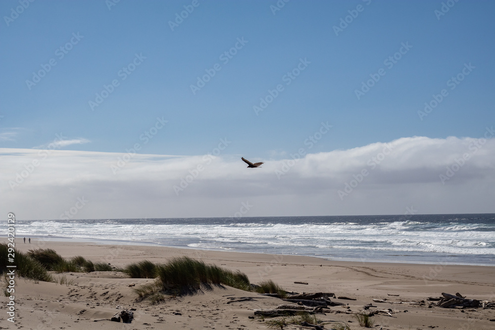 Oregon Coast, West Coast Beaches, Pacific Northwest Beach Oregon Coast, West Coast Beaches, Pacific Northwest Beach