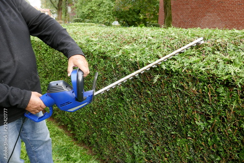 Gardening. An elderly man cuts the conifers with an electric hedge trimmer 