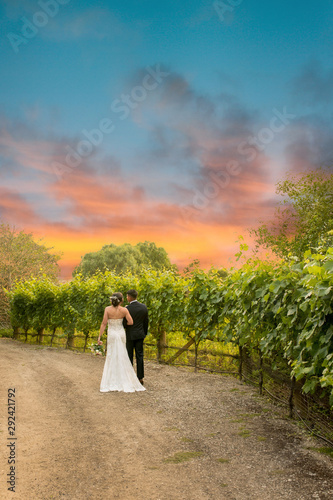 bride and groom on sunset background of sky in vineyard