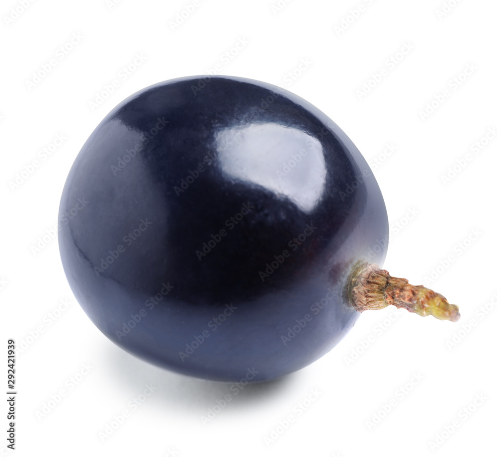 Fresh ripe juicy black grape isolated on white Fresh ripe juicy black grape isolated on white