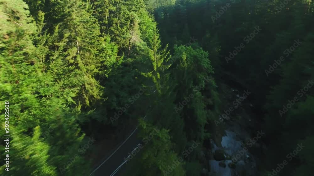 Following The Car From The Air. Car Dissapears Behind The Trees On Curved Road Following The Car From The Air. Car Dissapears Behind The Trees On Curved Road