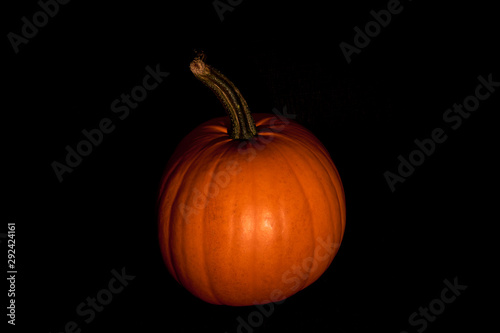 Pumpkin in darkness. Halloween mood.