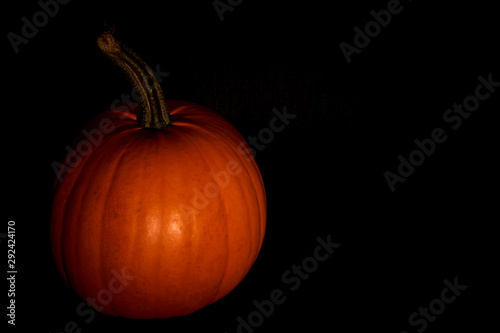 Pumpkin in darkness. Halloween mood. Copy space.