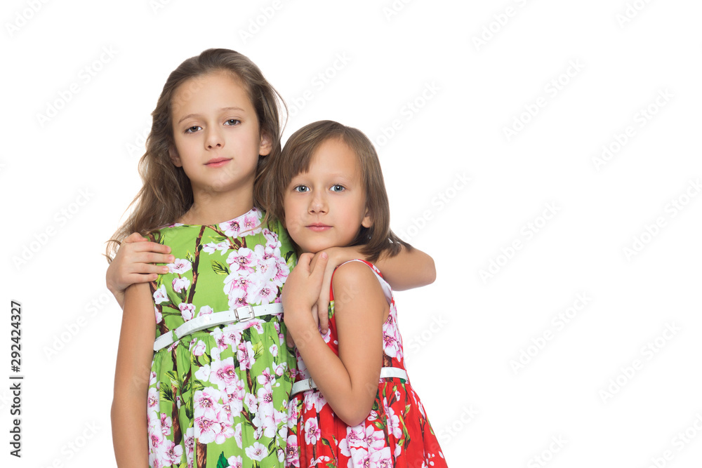 Girls sisters hugging. Isolated on white background Girls sisters hugging. Isolated on white background