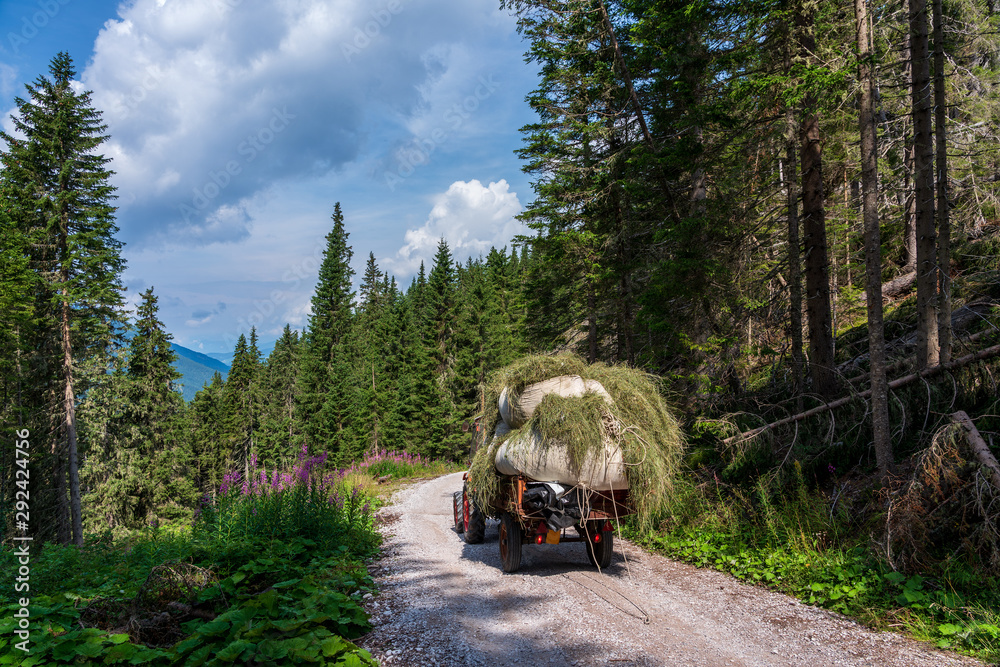 Tractor with hay in mountains, Dolomites