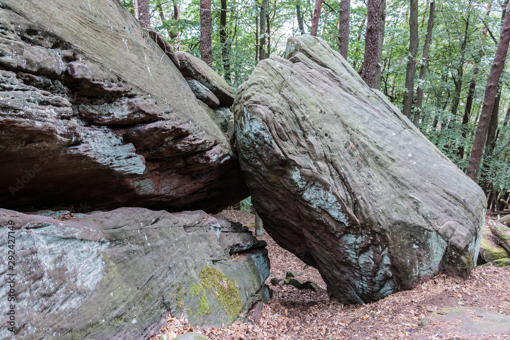 Big rocks in the middle of the green forest