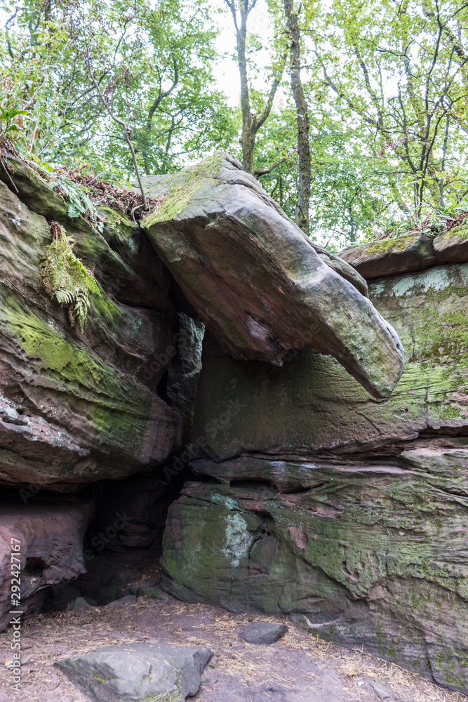 Big rocks in the middle of the green forest Big rocks in the middle of the green forest