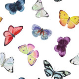 Butterflies on a white background.Watercolor Butterflies, Seamless Vintage Pattern Backdrop. Watercolor painted
