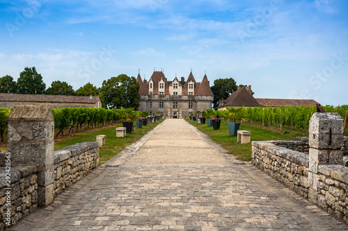 Monbazillac Castle with vineyard, Aquitaine, France photo