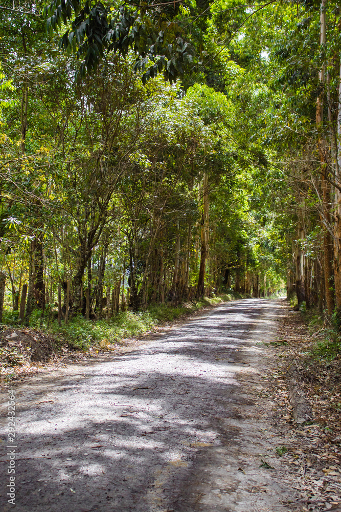 Naklejka premium Long endless road