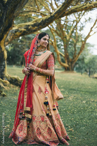 A portrait of a beautiful indian bride in sari.