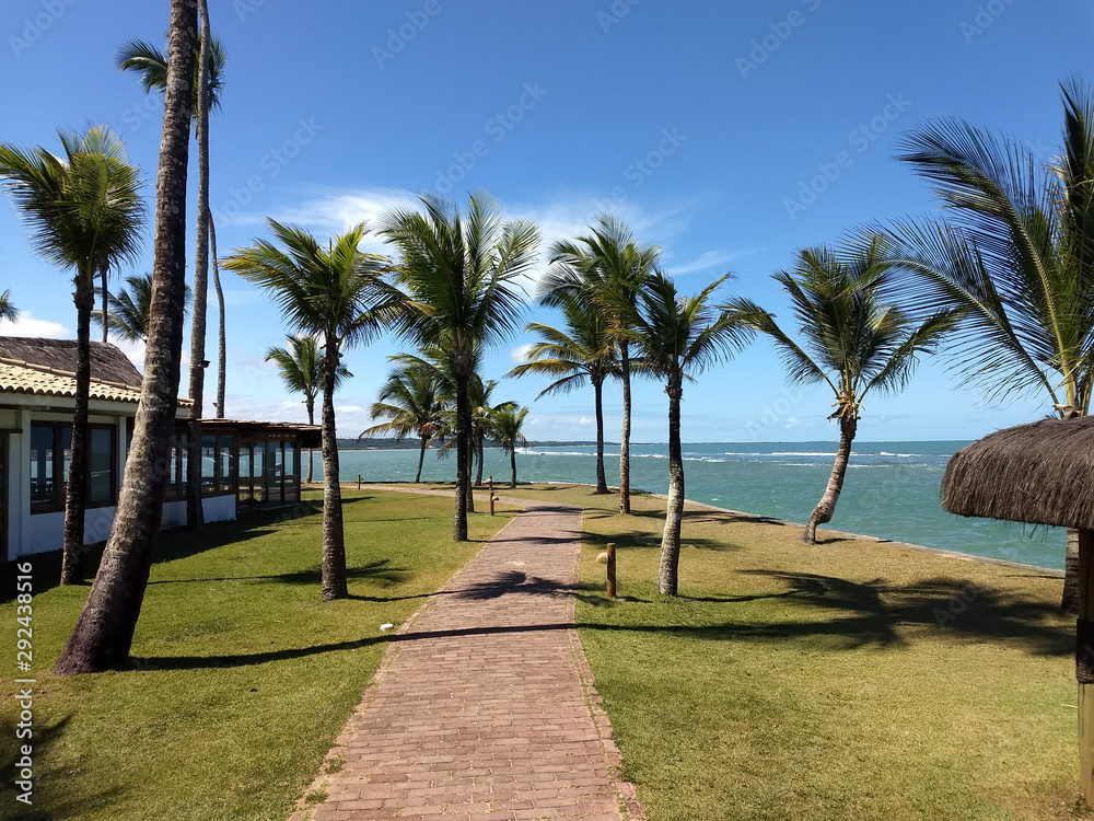 Footbridge on the beach with palmtrees, green grass and blue sky