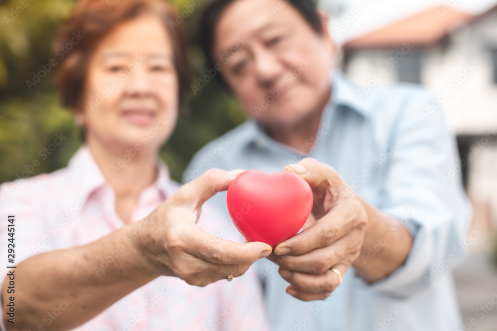 Happy Asian senior couple in love. Senior couple with heart in front of lovely Background Happy Asian senior couple in love. Senior couple with heart in front of lovely Background