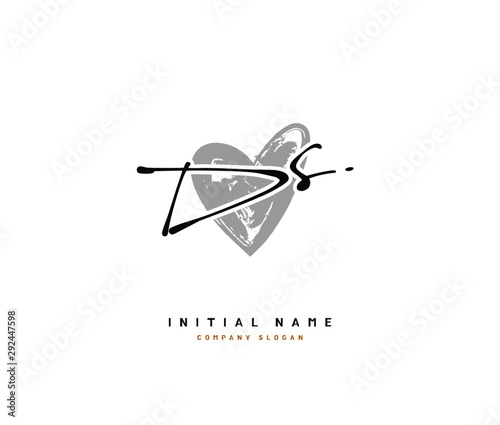 D S DS Beauty vector initial logo, handwriting logo of initial signature, wedding, fashion, jewerly, boutique, floral and botanical with creative template for any company or business.