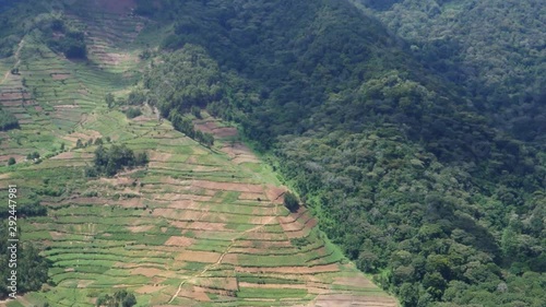 Farmland and Bwindi rain forest, Uganda