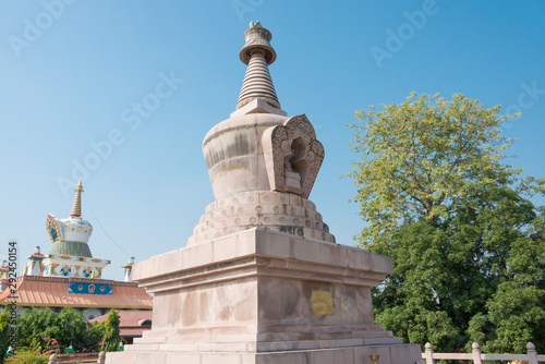 Lumbini, Nepal - Dec 09 2017: Shechen Stupa French Buddhist Association (French Temple) in Lumbini, Nepal. Lumbini, the Birthplace of the Lord Buddha and The Eight Great Places.