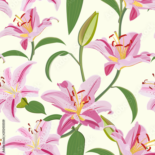 Lily flower seamless pattern on white background, Pink lily floral vector illustration