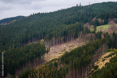 Deforestation in the mountains. Causing environmental damage.
