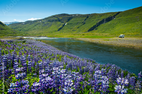 Fototapeta Naklejka Na Ścianę i Meble -  Coastline and landscape in the west fjords, Iceland