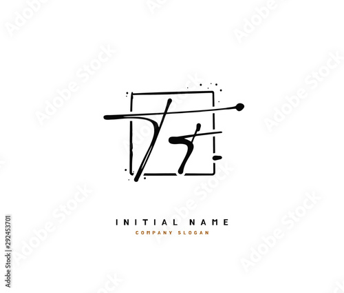 T TT Beauty vector initial logo  handwriting logo of initial signature  wedding  fashion  jewerly  boutique  floral and botanical with creative template for any company or business.