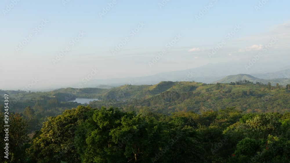 Misty morning view, birds and trees, Uganda Misty morning view, birds and trees, Uganda