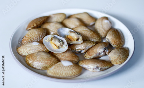 Oyster on plate with white background. photo