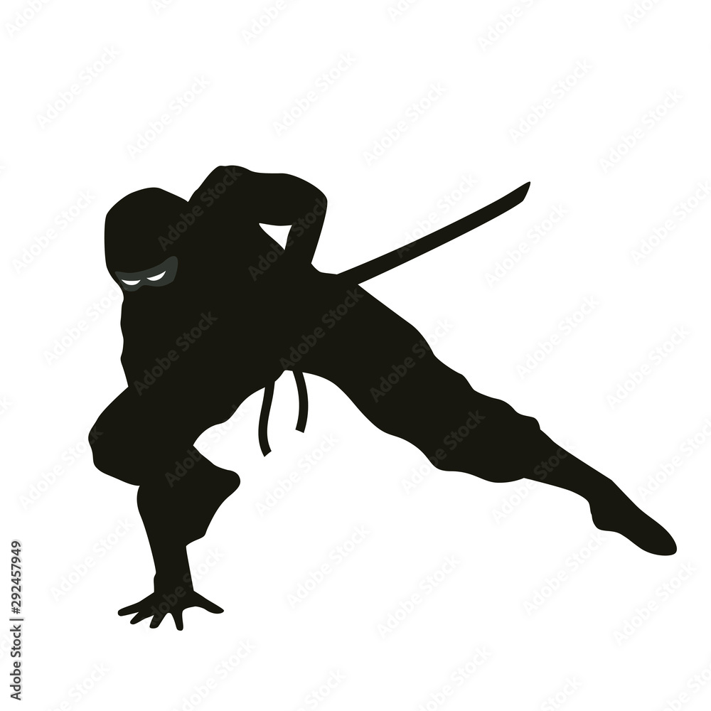 Obraz premium Ninja Silhouette