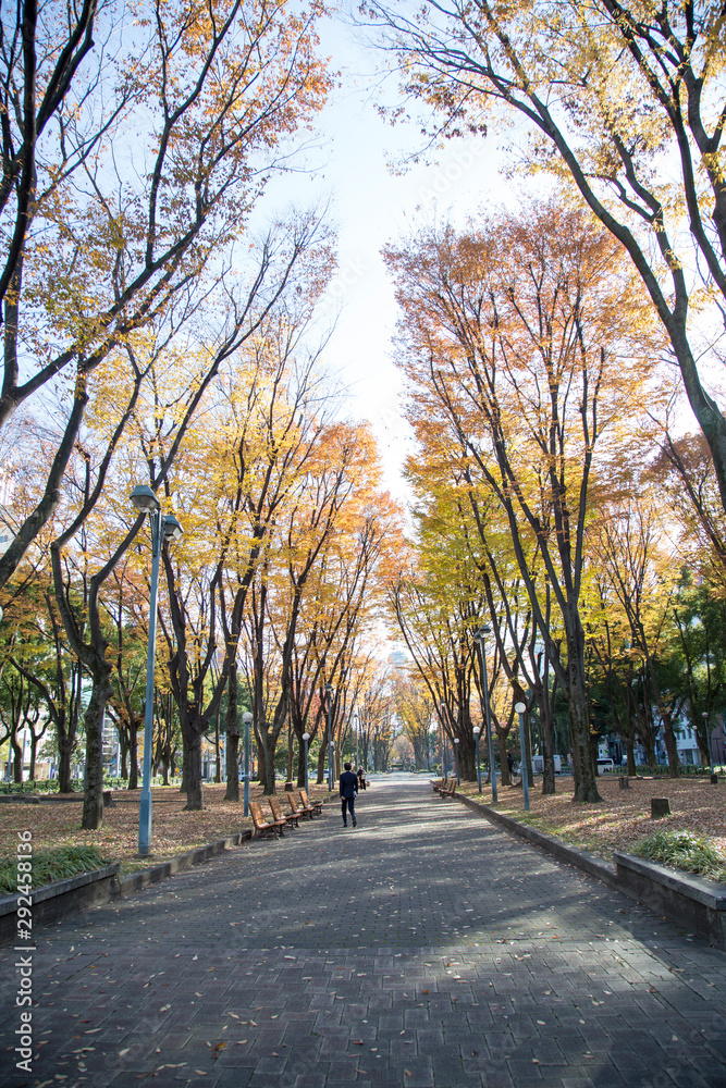 久屋大通公園