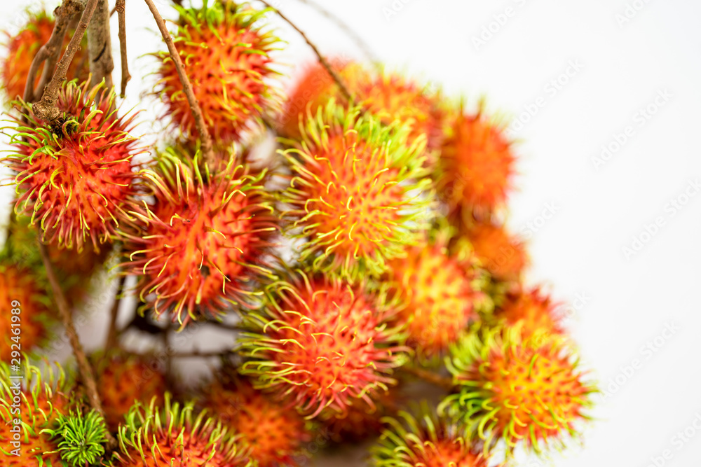 opened rambutan fruit or hairy fruit on white background. opened rambutan fruit or hairy fruit on white background.