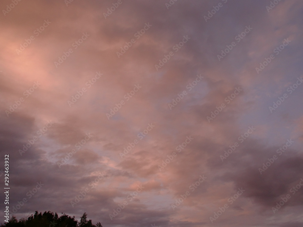 Fototapeta premium 夕焼け