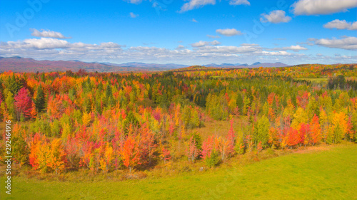 AERIAL: Flying above picturesque autumn forest with colorful tree leaves in fall