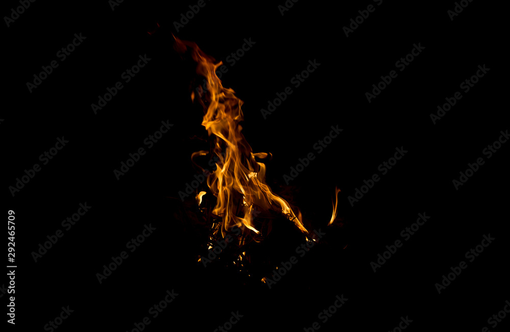 Fire burning at night, black background Fire burning at night, black background